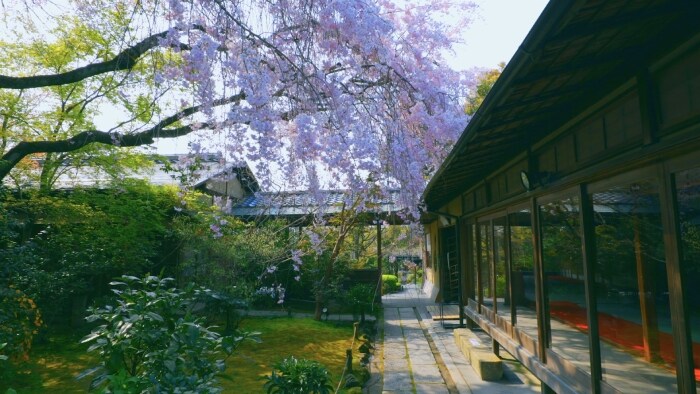 Japanese gardens gallery 2