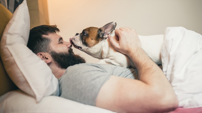 Why Sleeping with Pets Might Be a Bad Idea