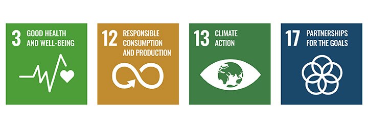 SDG icons